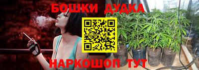 индика Чапаевск
