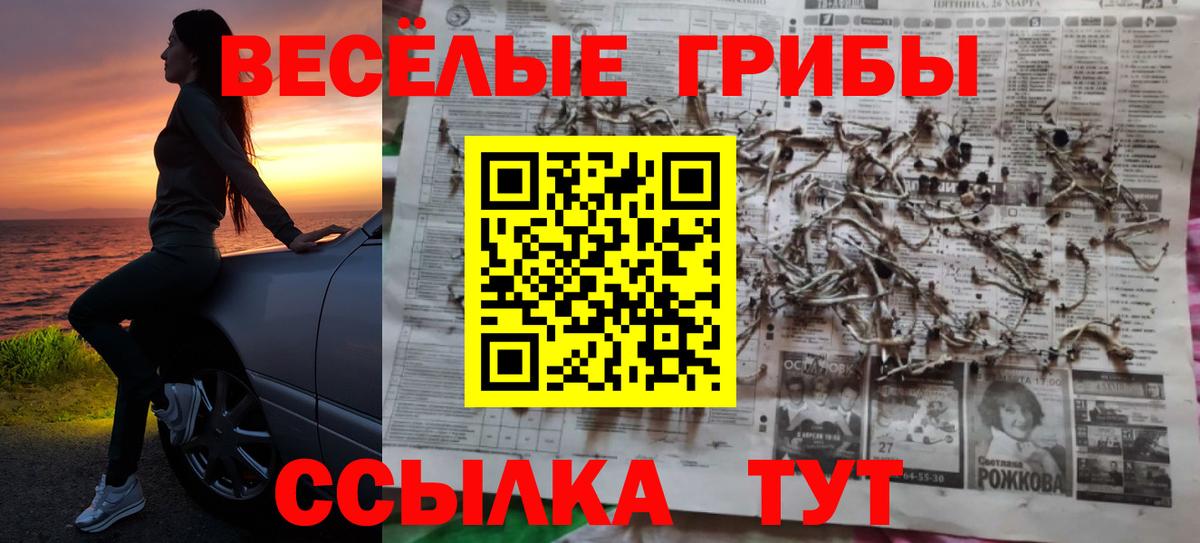Псилоцибиновые грибы MAGIC MUSHROOMS Серпухов