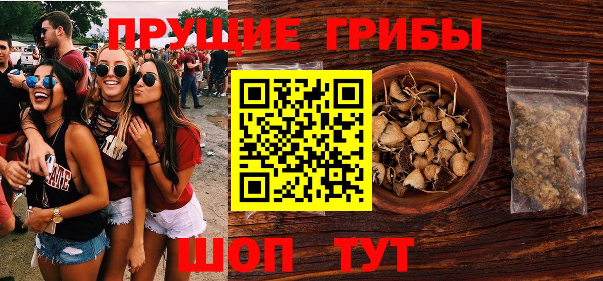 Серпухов  Галлюциногенные грибы мицелий  Вход с VPN 
